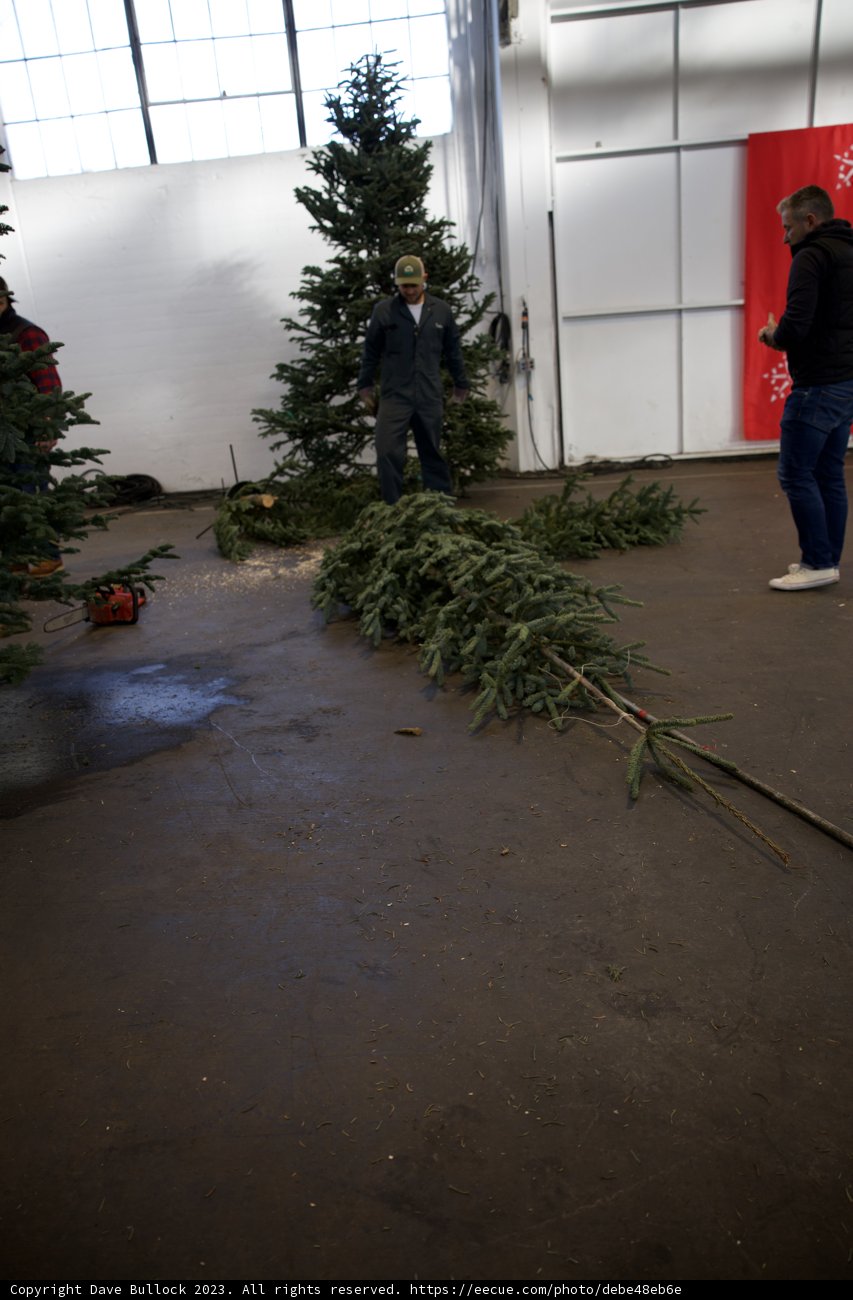 Christmas Celebrations at Fort Mason