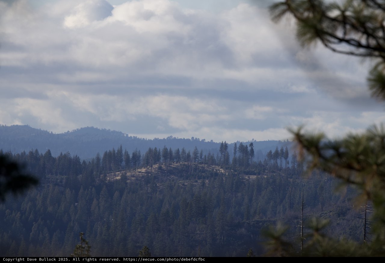 Misty Forest Ridges After Wildfire in Mountain Landscape