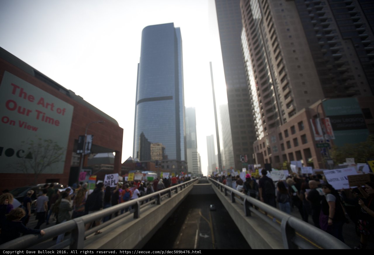 Pre-Coachella Protesters Fill Metropolis Streets