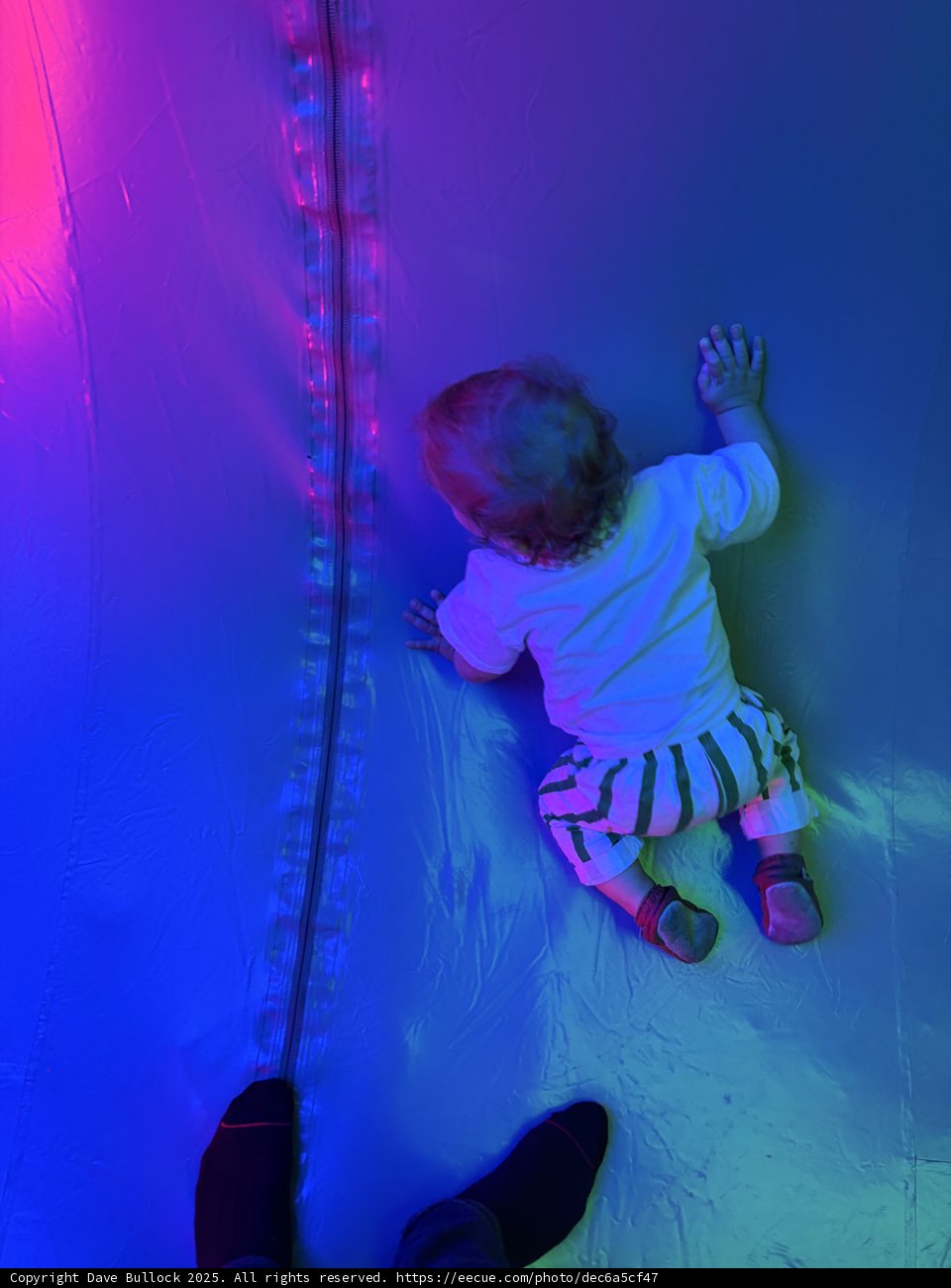 Playtime Hues