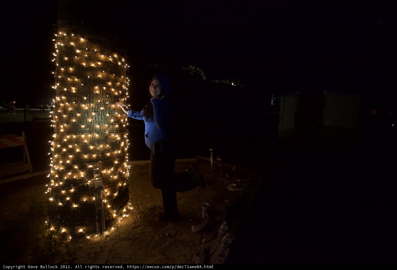 Festive Night Illumination