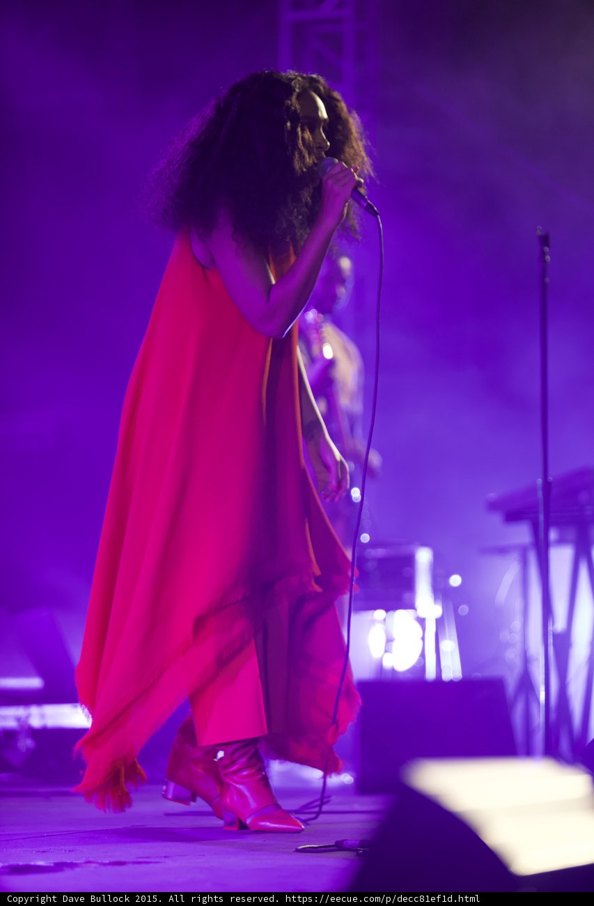Solange Full Body Head Bowed Saxophonist Purple Blue Haze