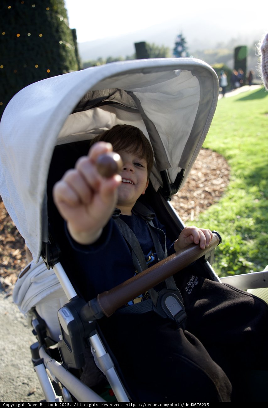 A Moment of Joy at Thistlewyck