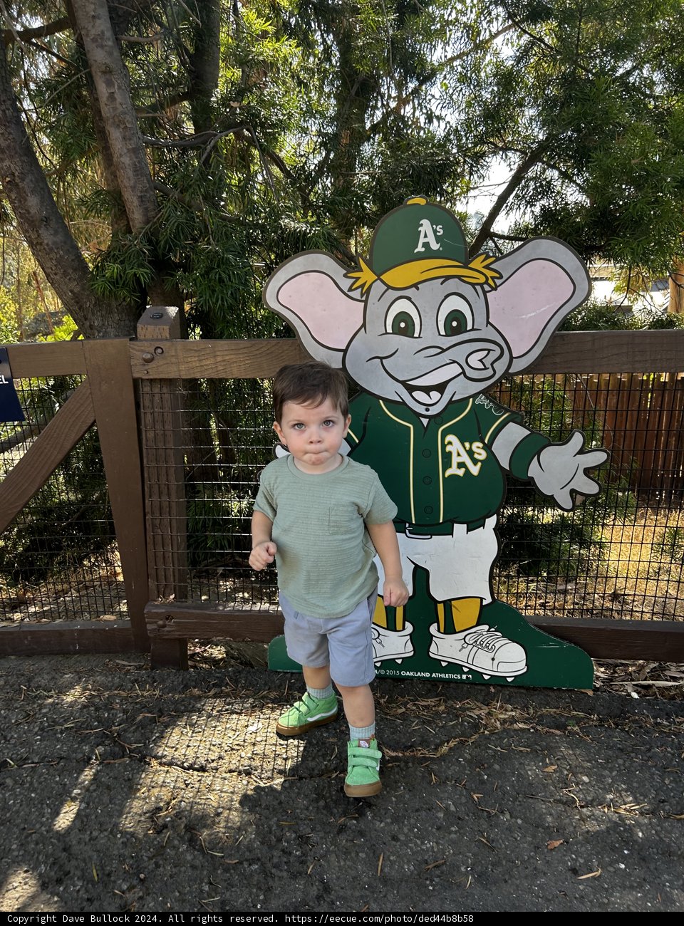 Little Explorer in the Park