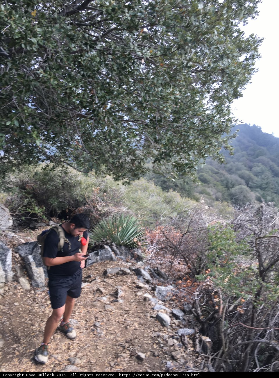 Hiking Through the Wilderness