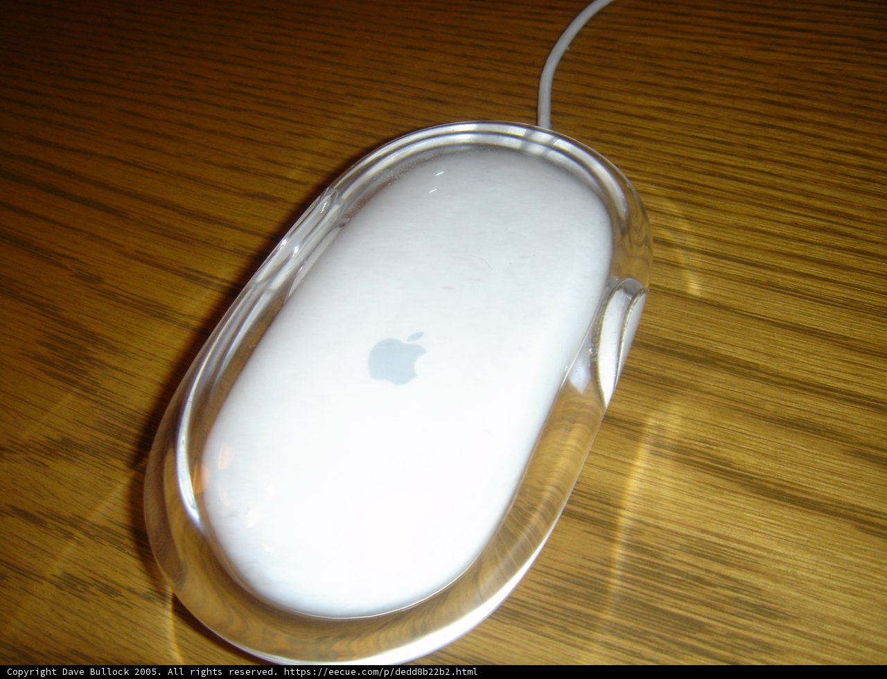 Drink in Hand with the White Apple Mouse