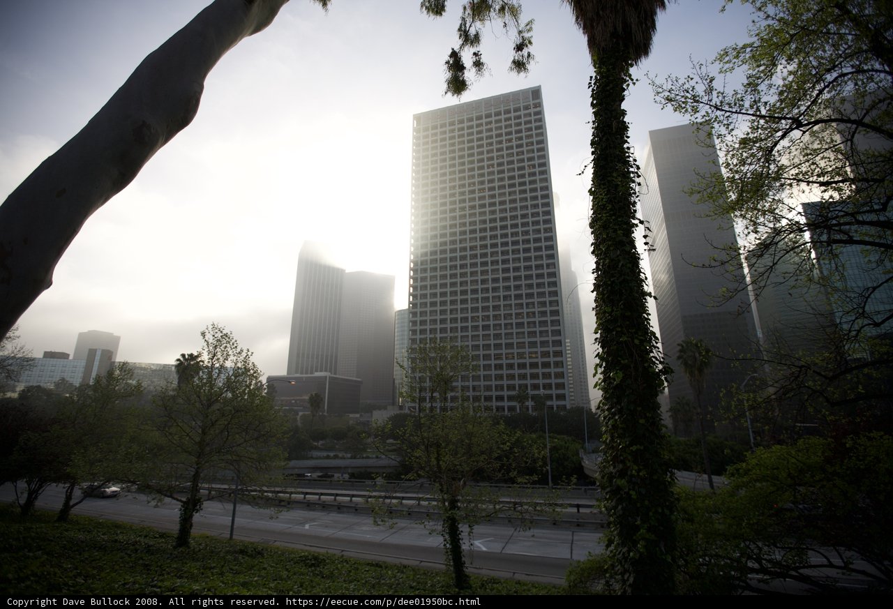 Sun-Kissed Skyscraper in Metropolis