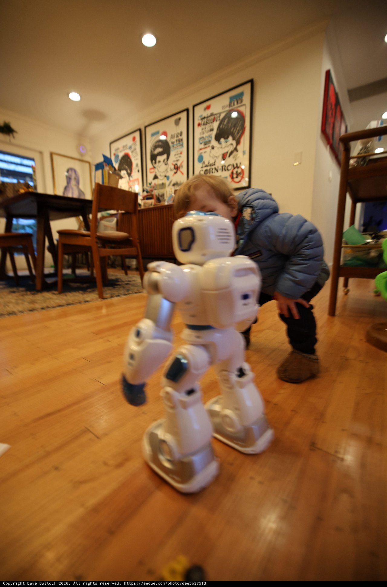 Child and Robot Play Together at Home