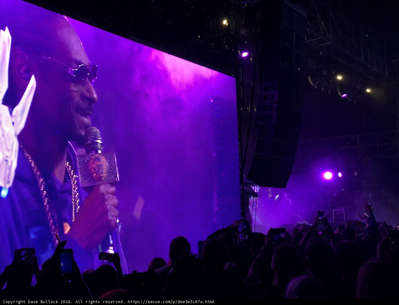 Snoop Dogg Rocks the Stage