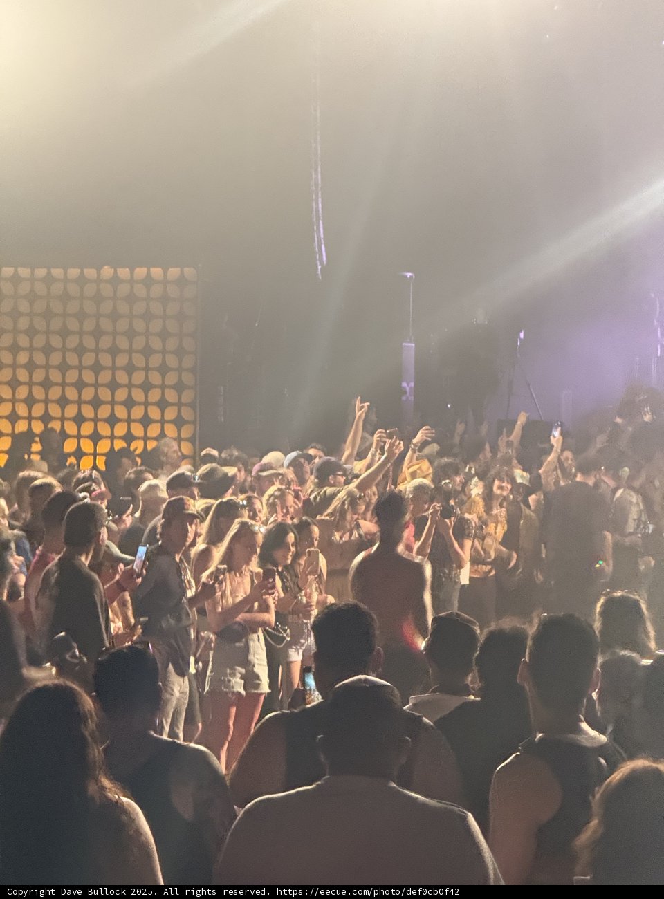 Electrifying Night at the Empire Polo Club