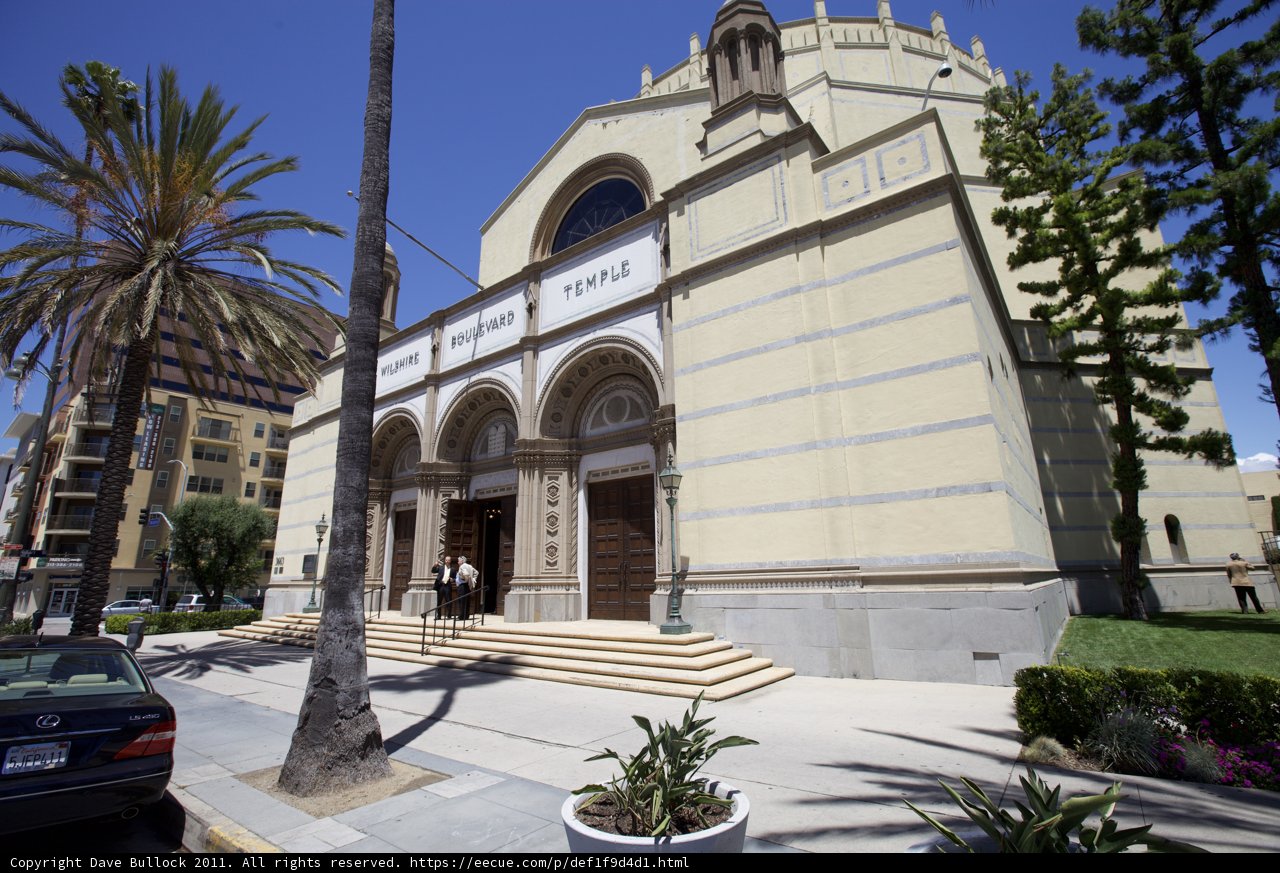 The Grand Office Building with Palm Trees