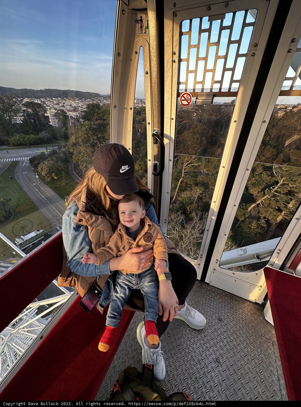 Ferris Wheel Fun with Mom