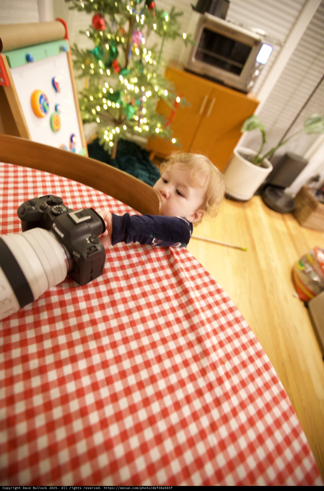 Toddler's Curious Encounter with Camera on Christmas Morning