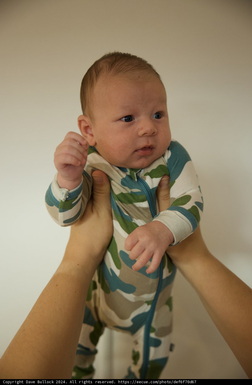Welcome to the World