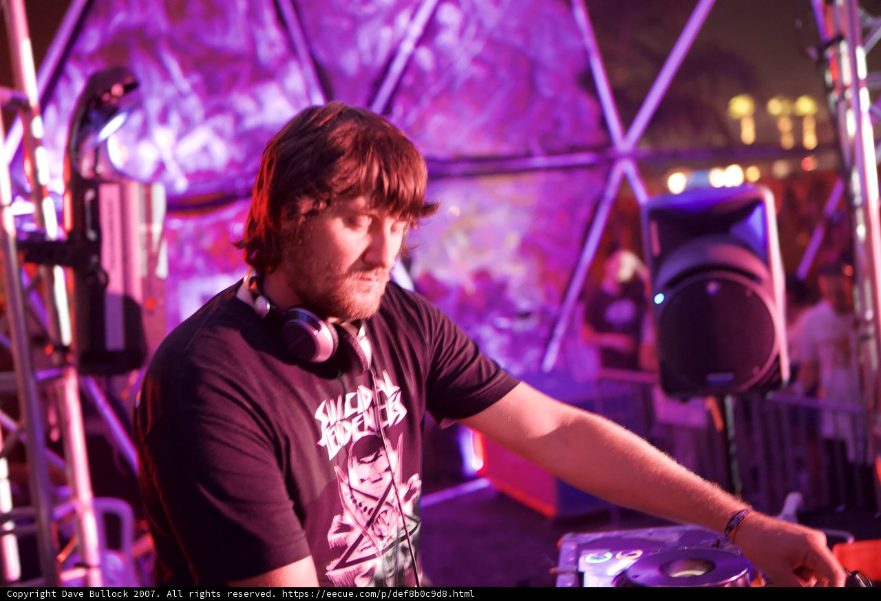 Coachella DJ rocking the party