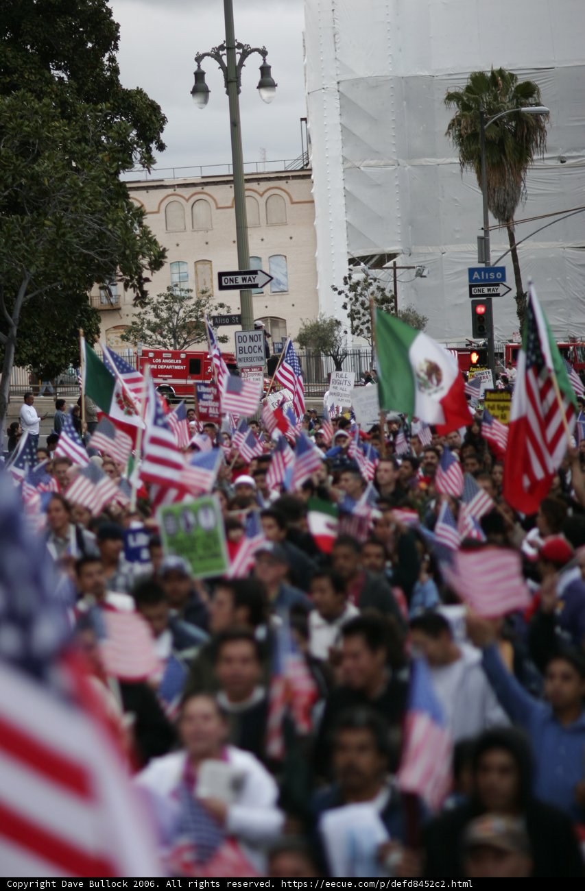 Patriotic Crowd