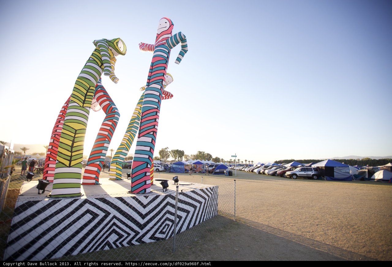Zany Zebra at Coachella