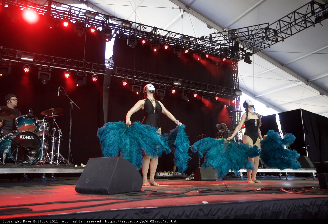 Feathers and Footwork: A Dazzling Dance Performance