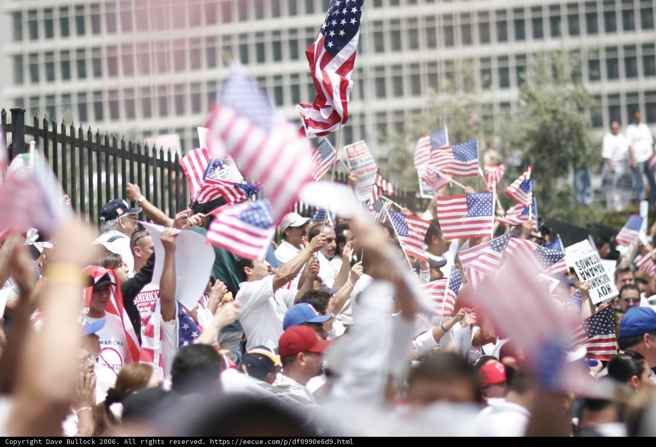 Patriotic Crowd