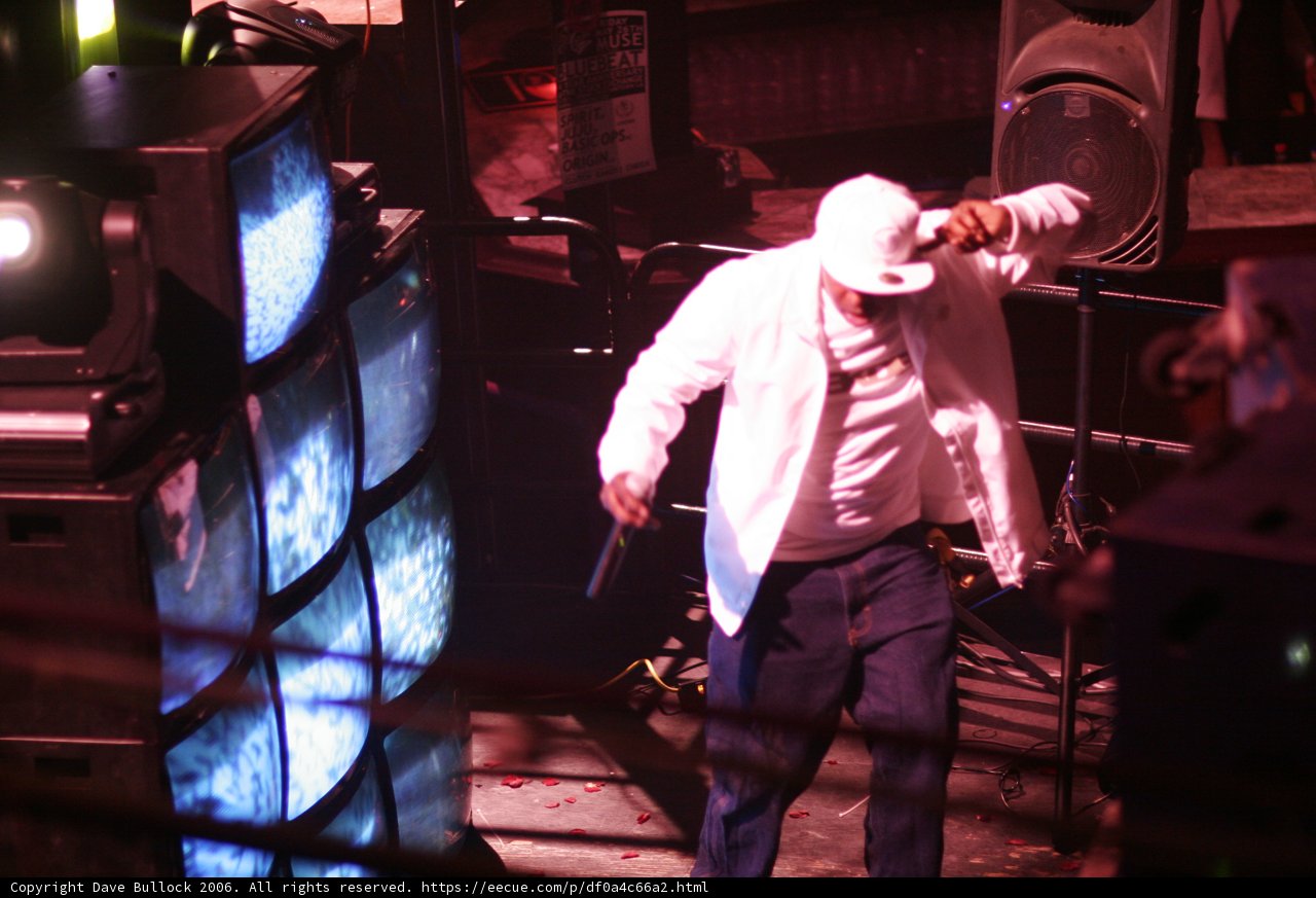 Spotlight on the Entertainer