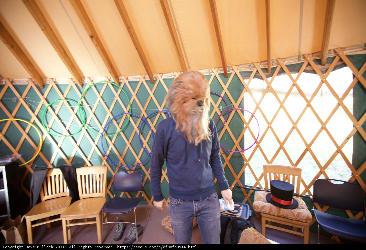 Yurt Life with a Furry Friend