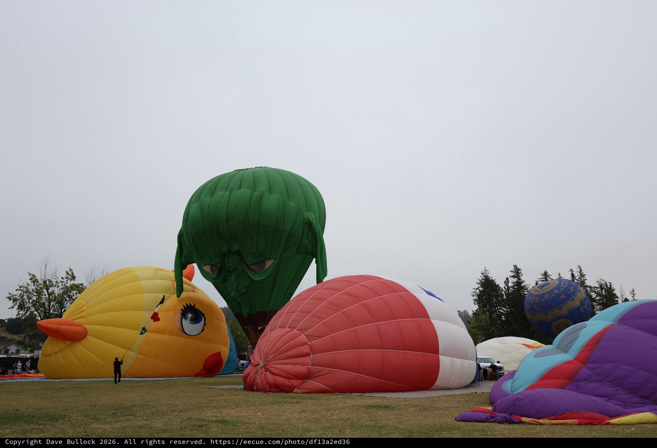 Colorful Hot Air Balloons Inflating at Dawn Festival