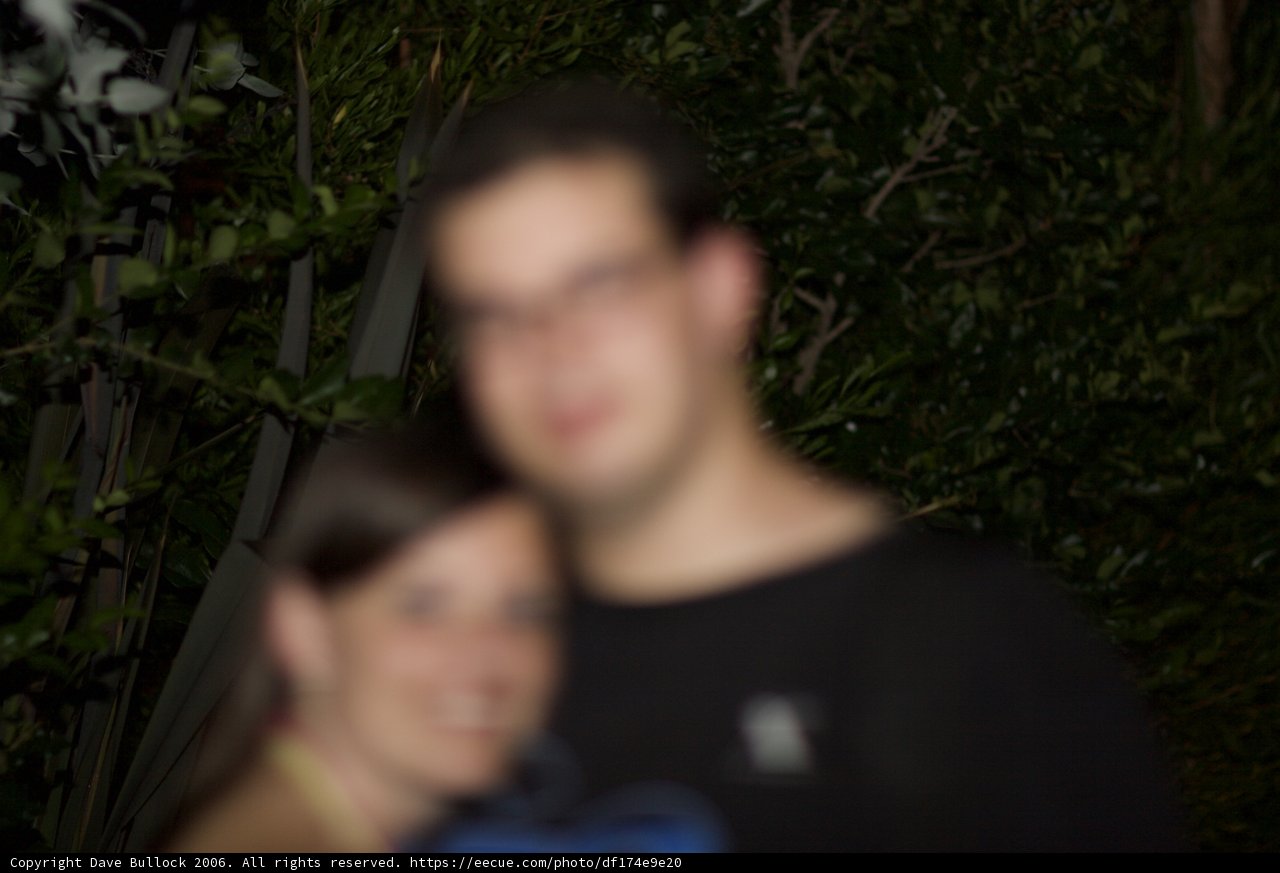 Blurry Lovebirds in the Foliage