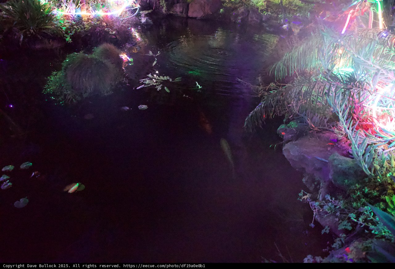 Illuminated Reflections in Nature