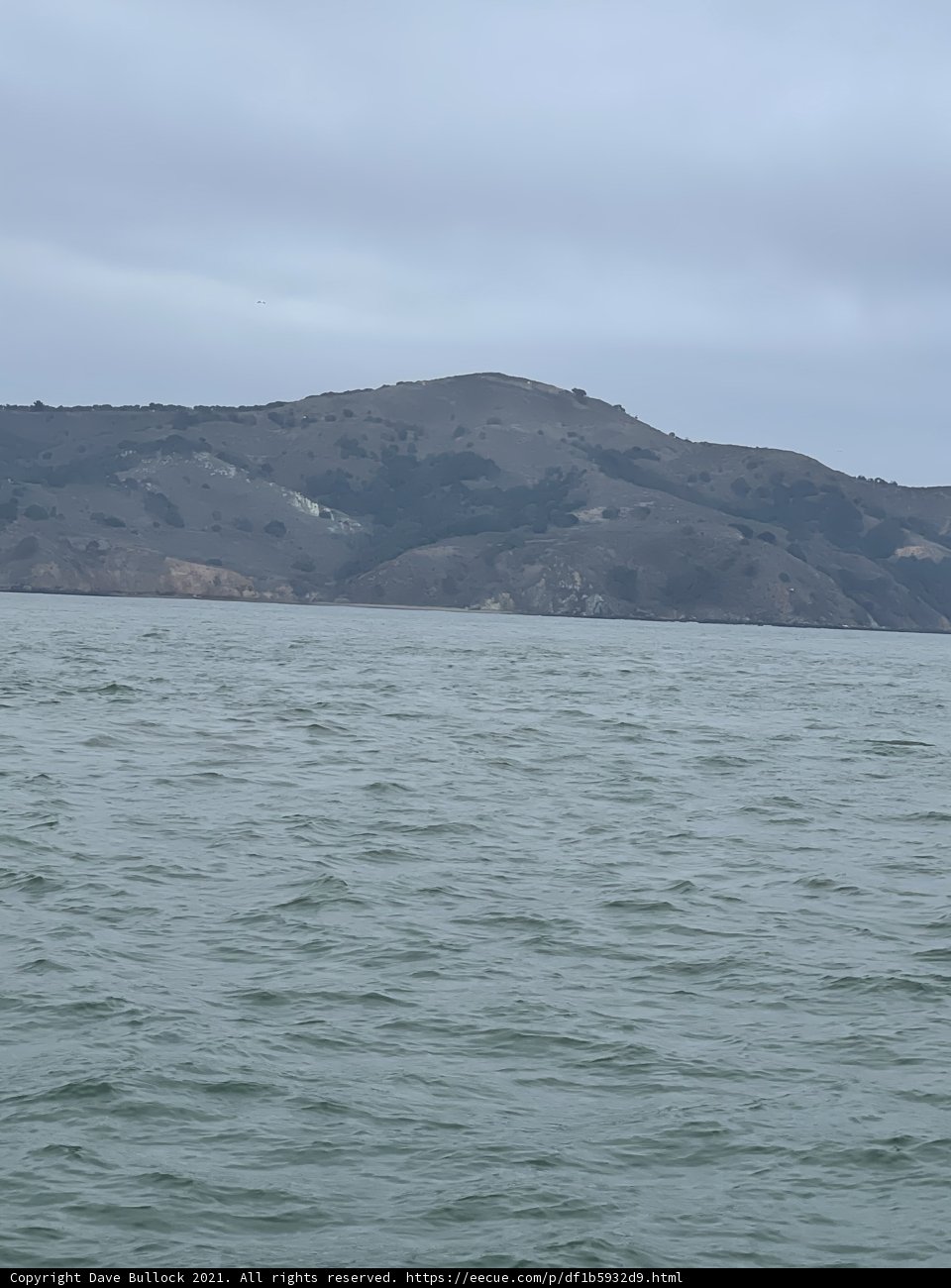 Serenity at San Francisco Bay