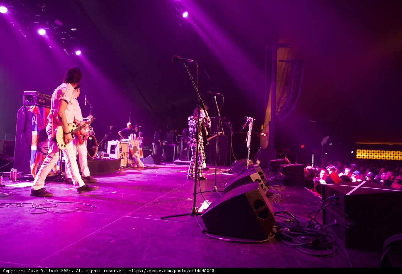 Electric Vibes: Coachella 2024 Live Performance