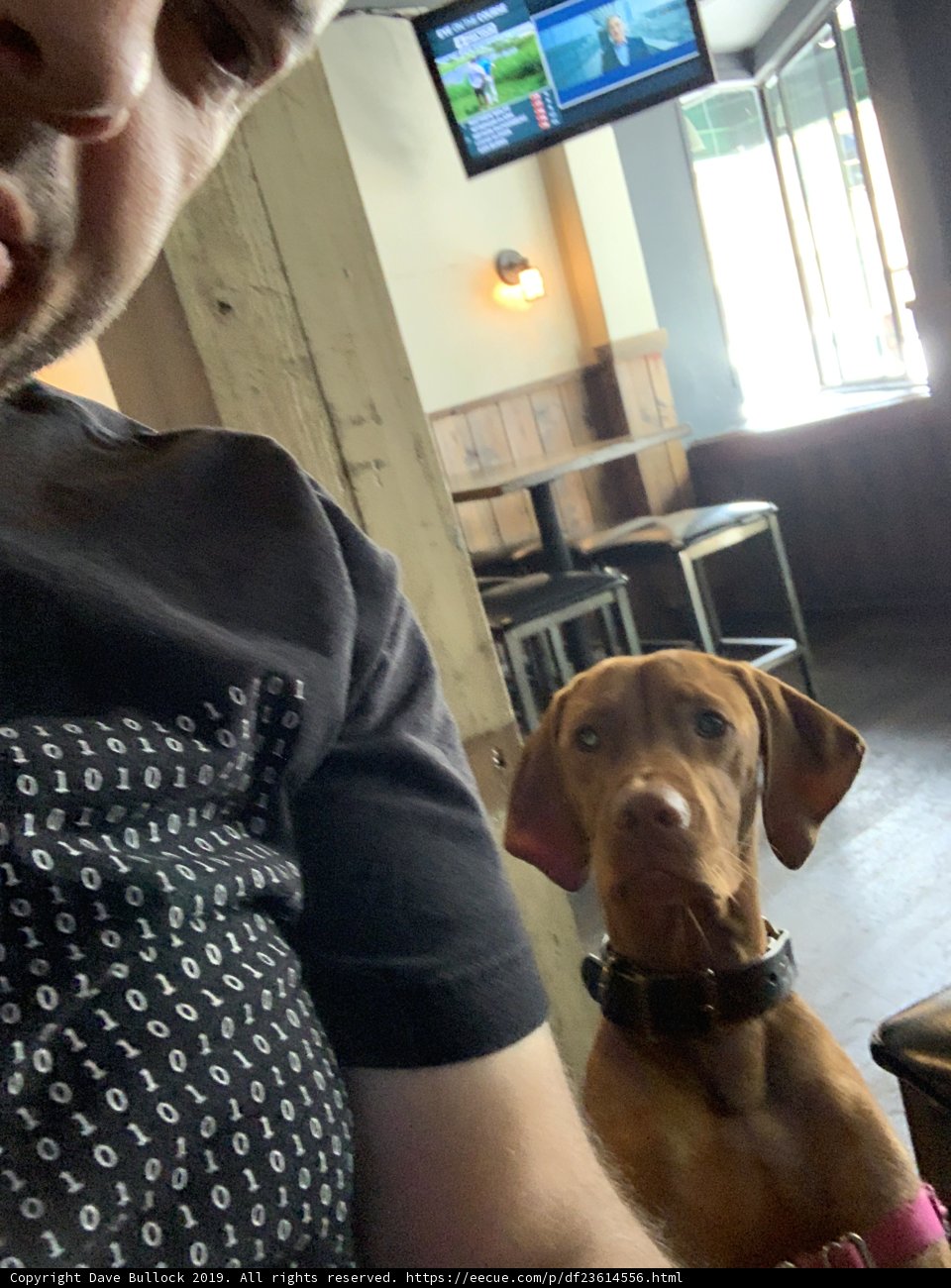 Man and his Canine Companion Watching TV