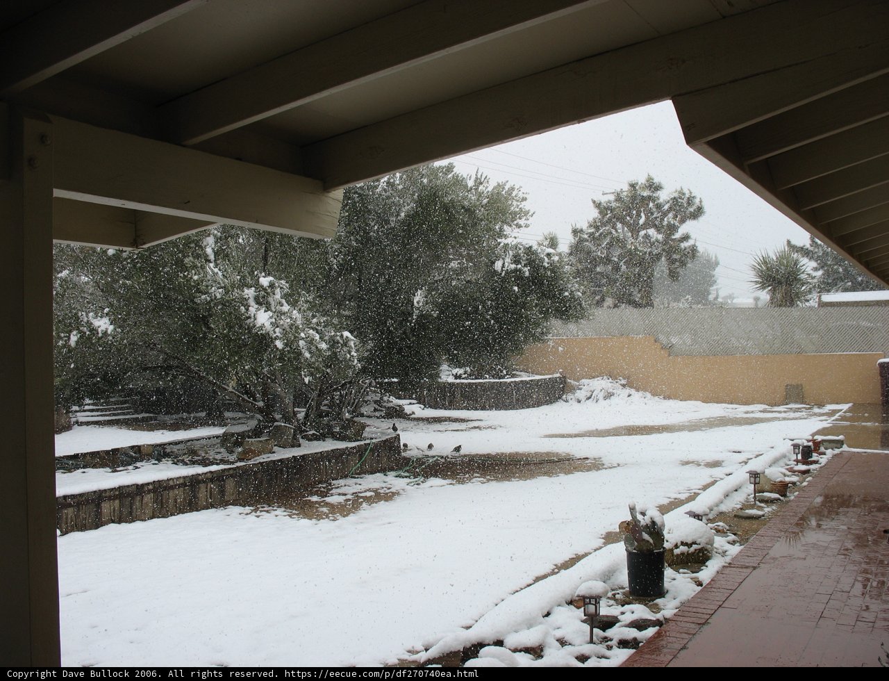 Winter Wonderland