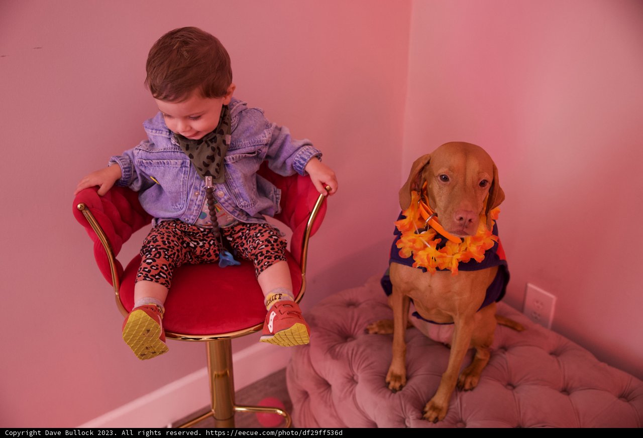 Cherished Moments: A Boy and His Dog