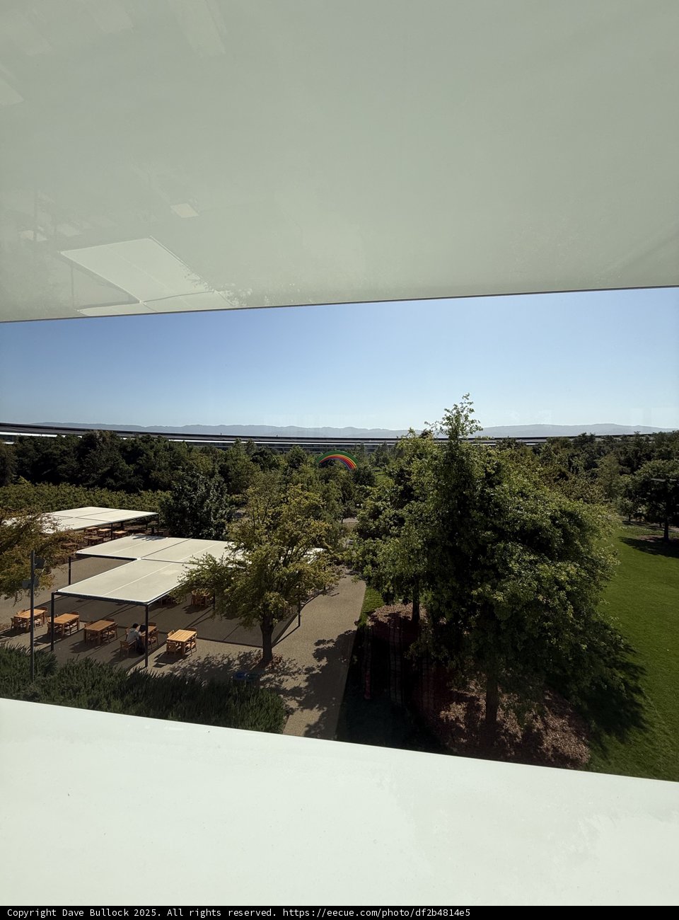 Serene Views at Apple Park
