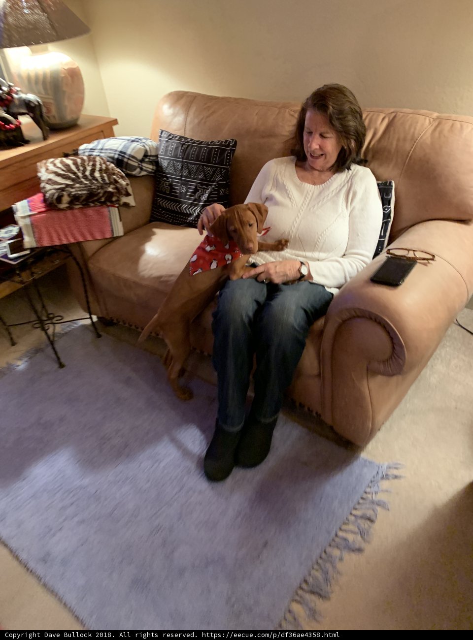 Cozy Christmas with the Furry Friend