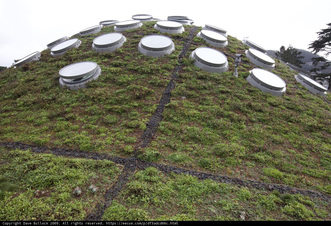 Circular Windows on a Green Roof