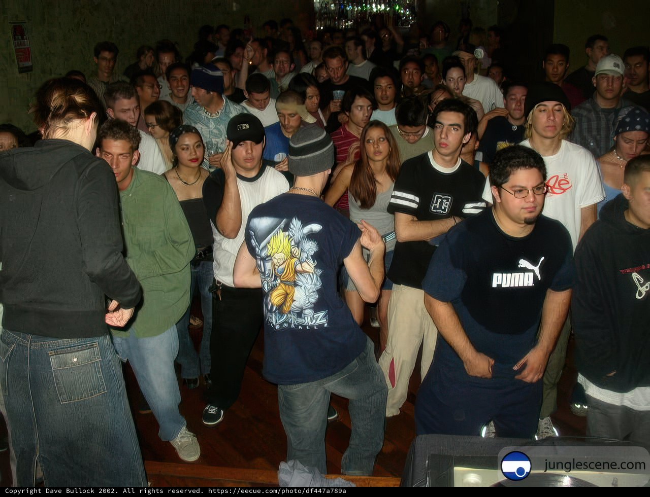A Nightclub Gathering