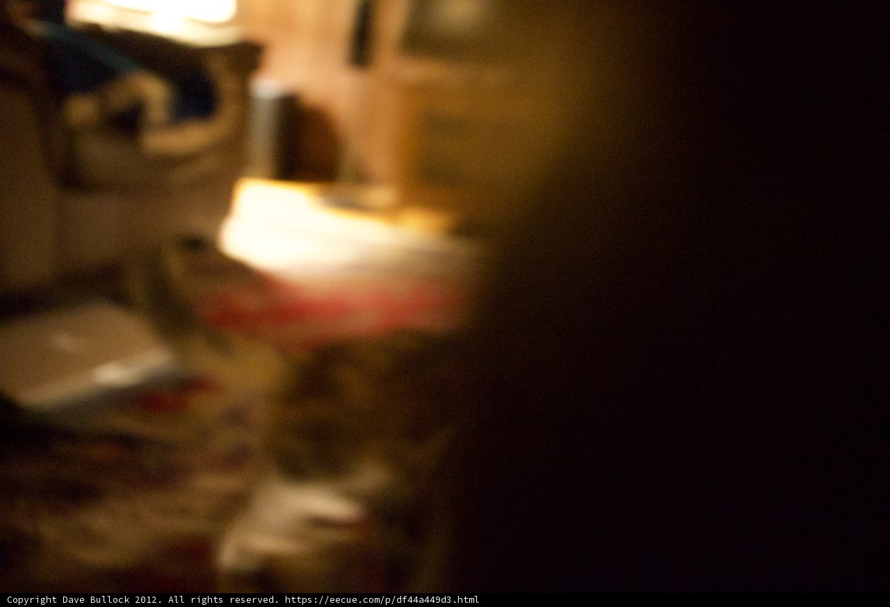 Blurry Feline