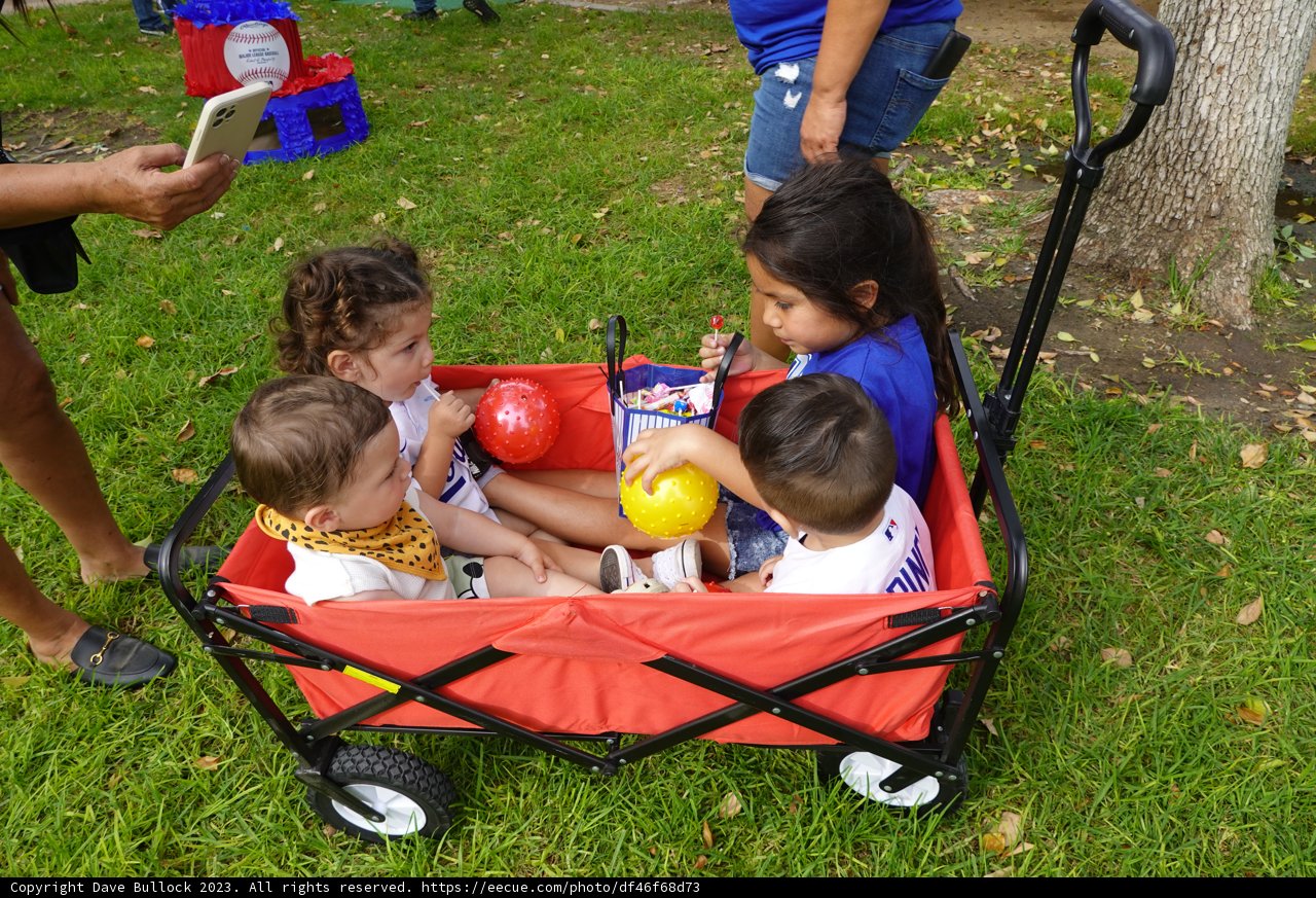 Innocent Adventures: A Day of Childhood Delight