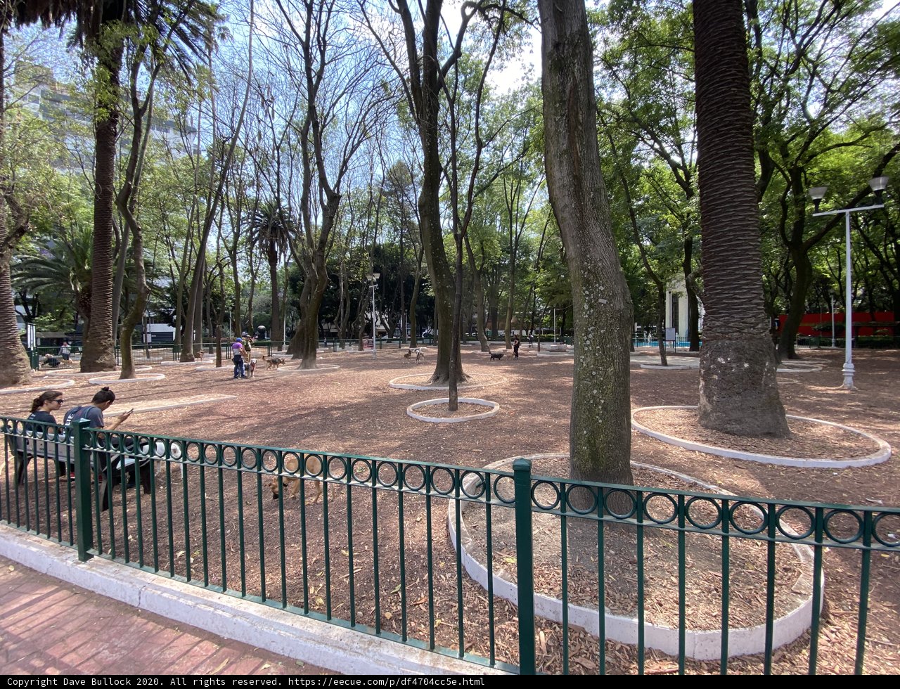 Serene Park Scene