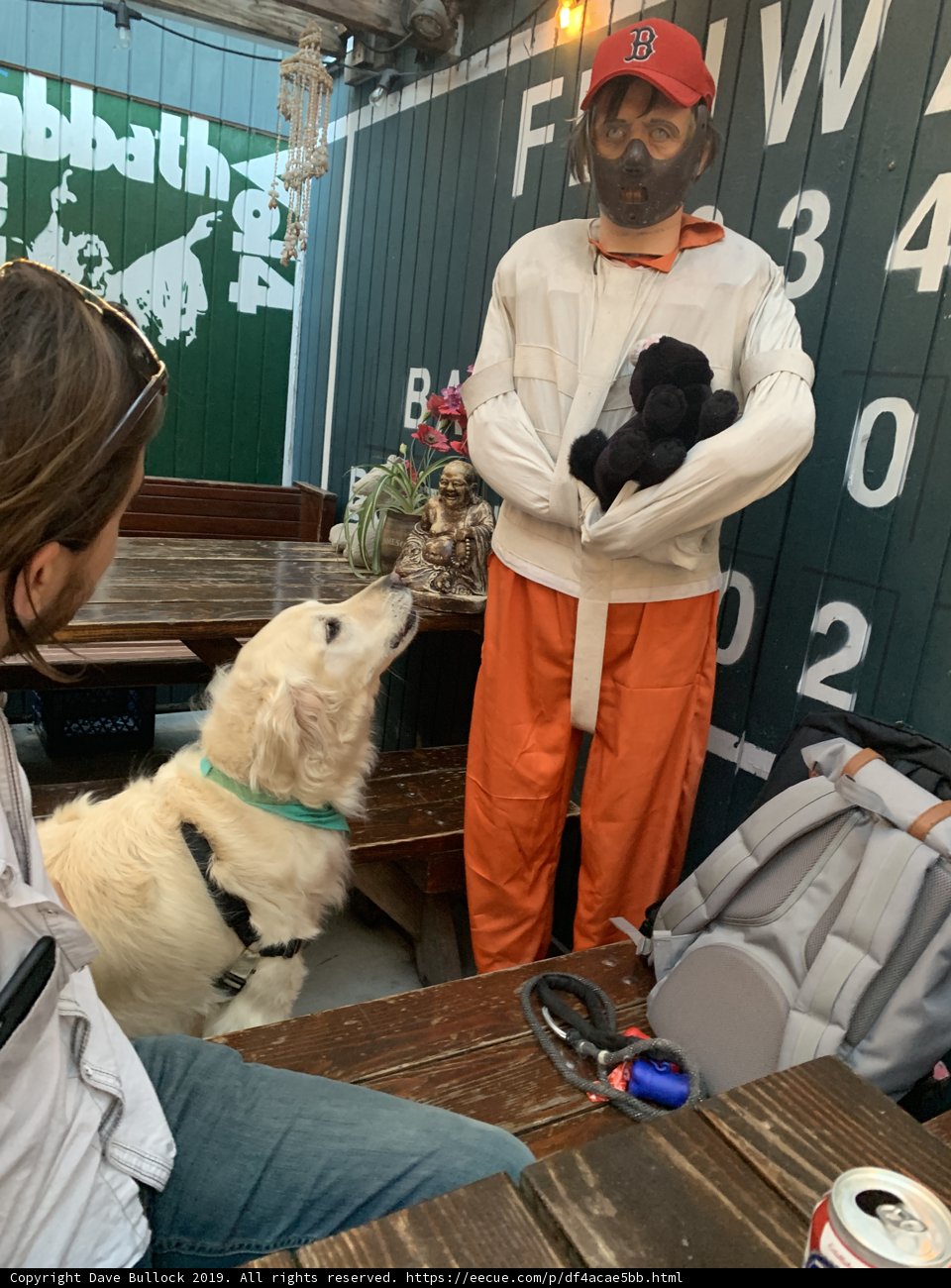 The Jumpsuited Man and His Furry Companion