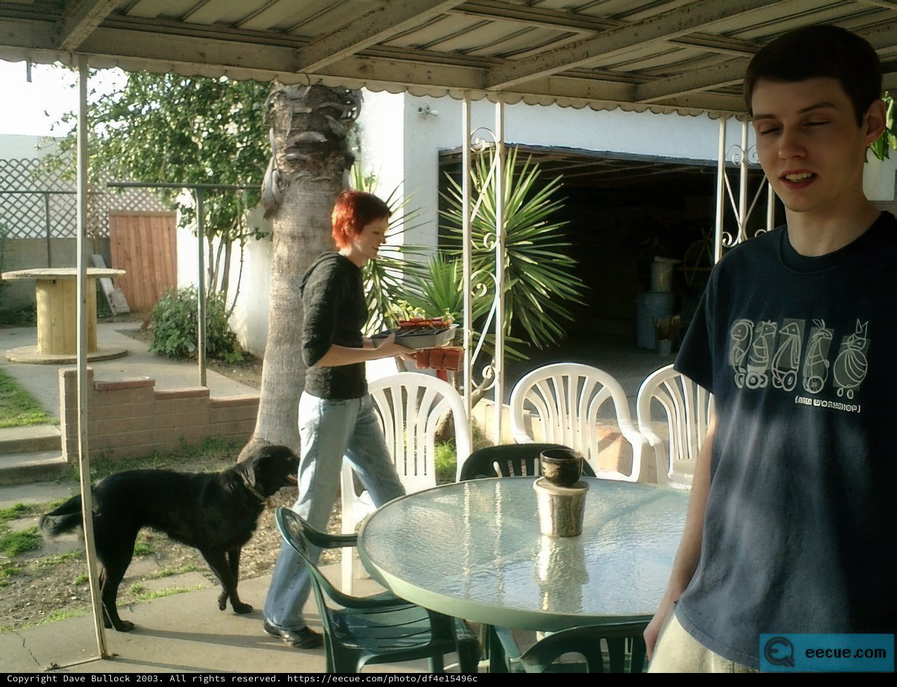 Man and Dog at the Dining Table