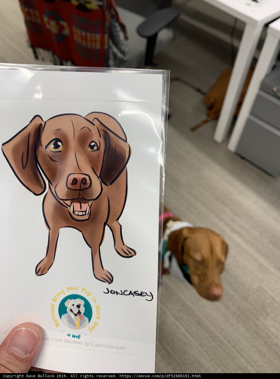 Happy Hound in San Francisco