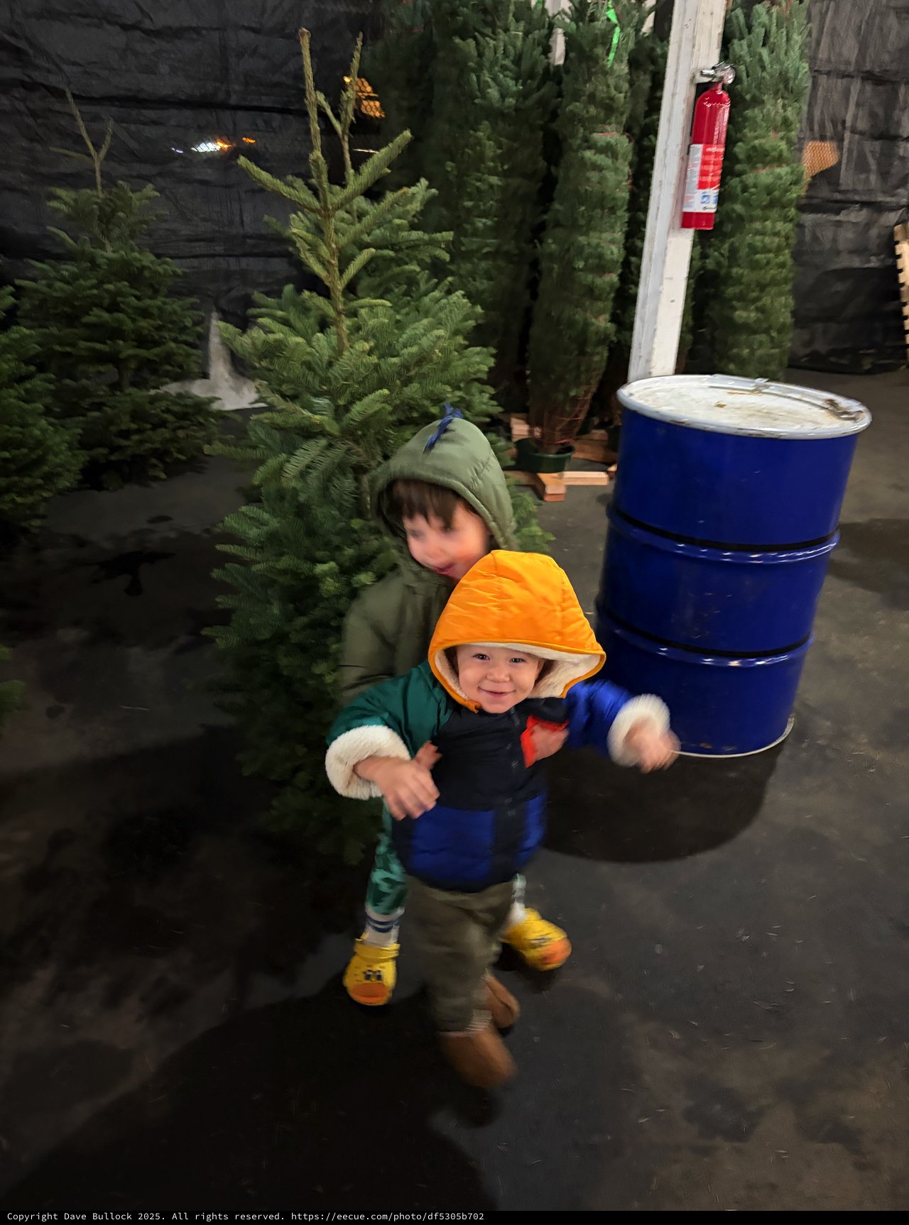 Children Exploring a Christmas Tree Farm