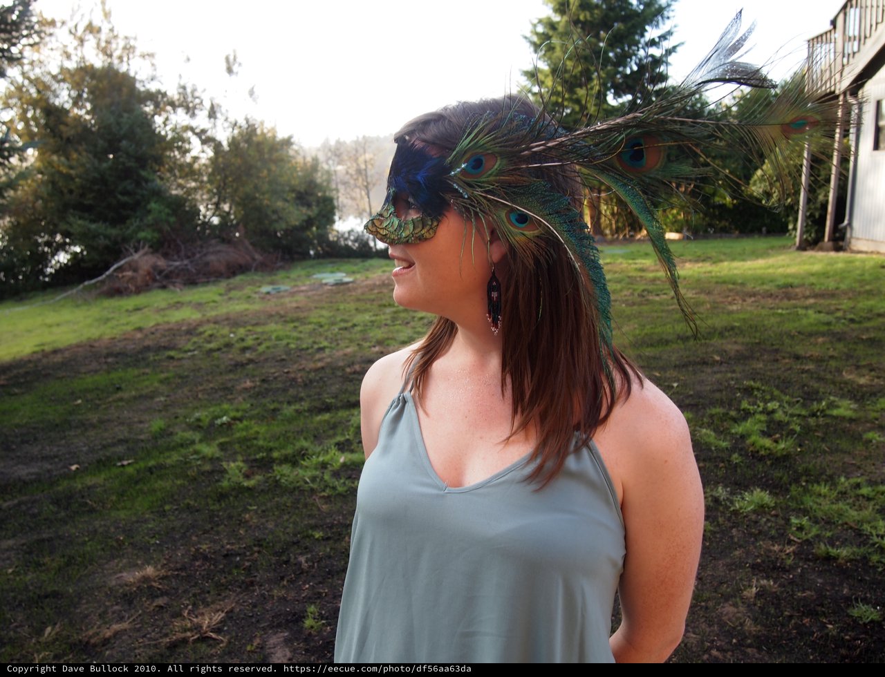 Peacock Masquerade: Mystery Behind Feathered Elegance