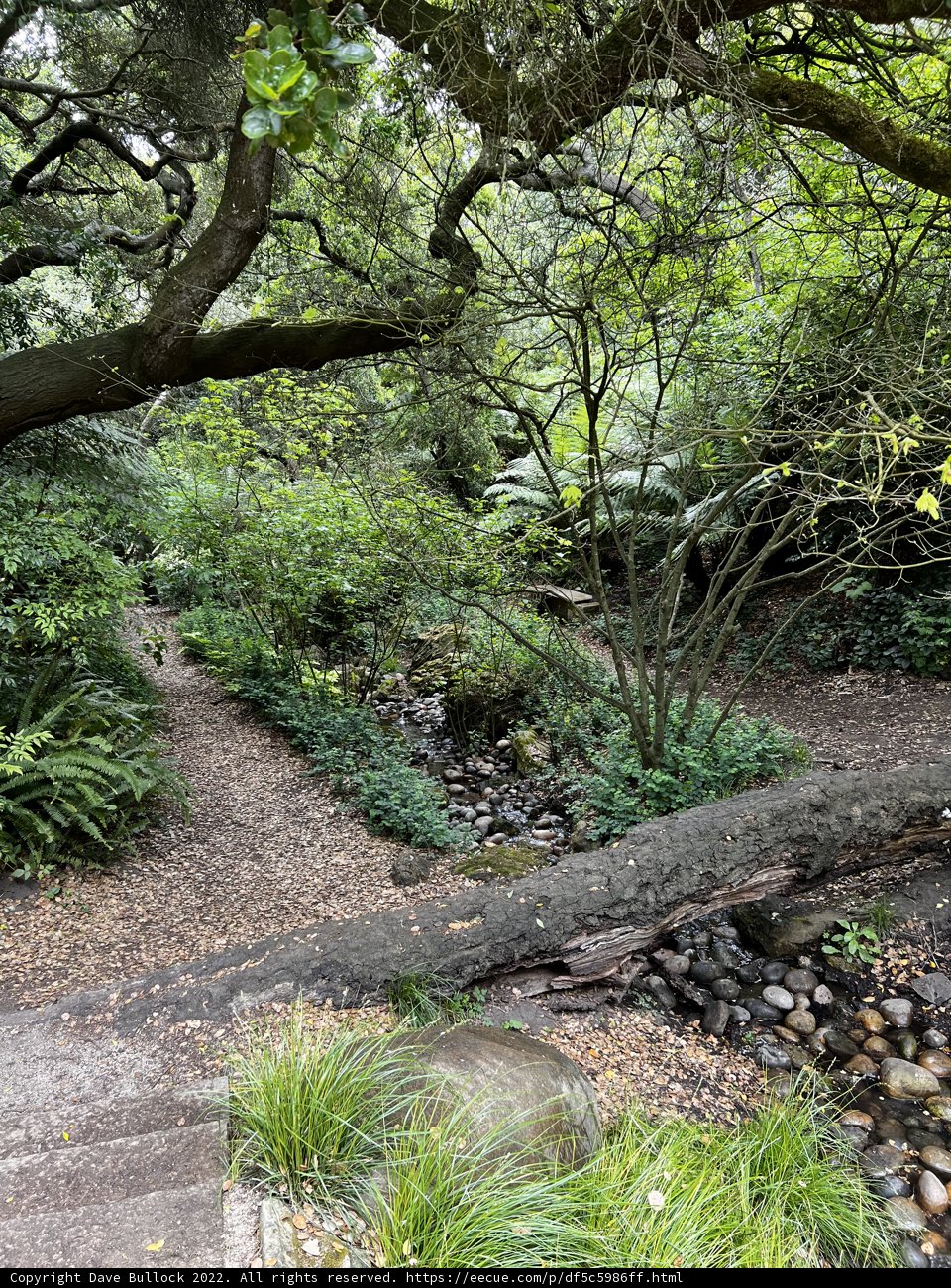 Into the Wilderness