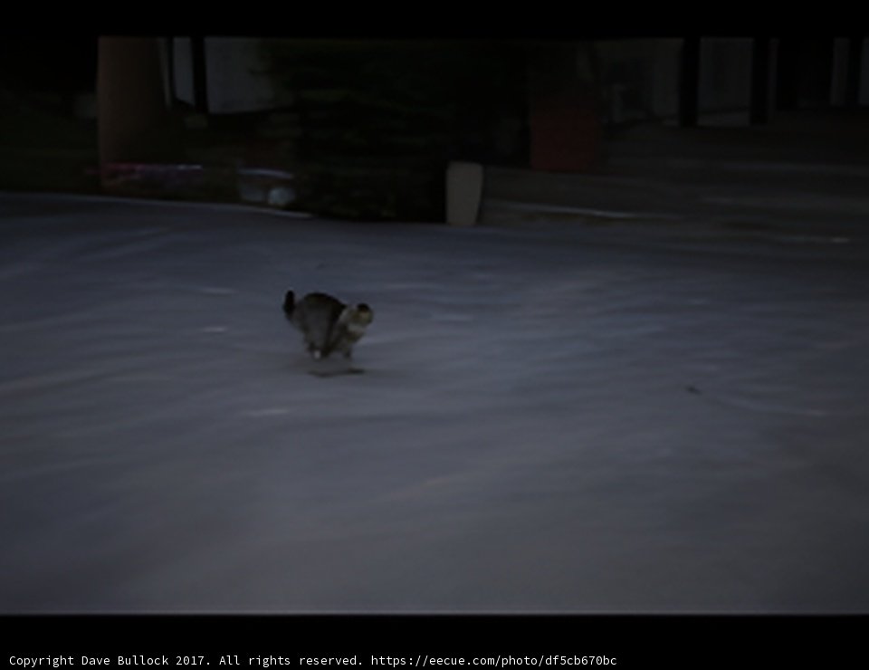 Midnight Run