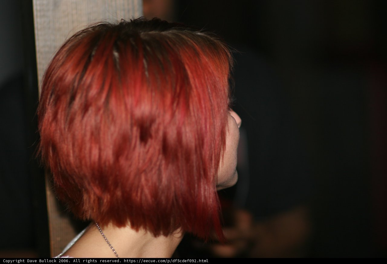 Red-Headed Samurai
