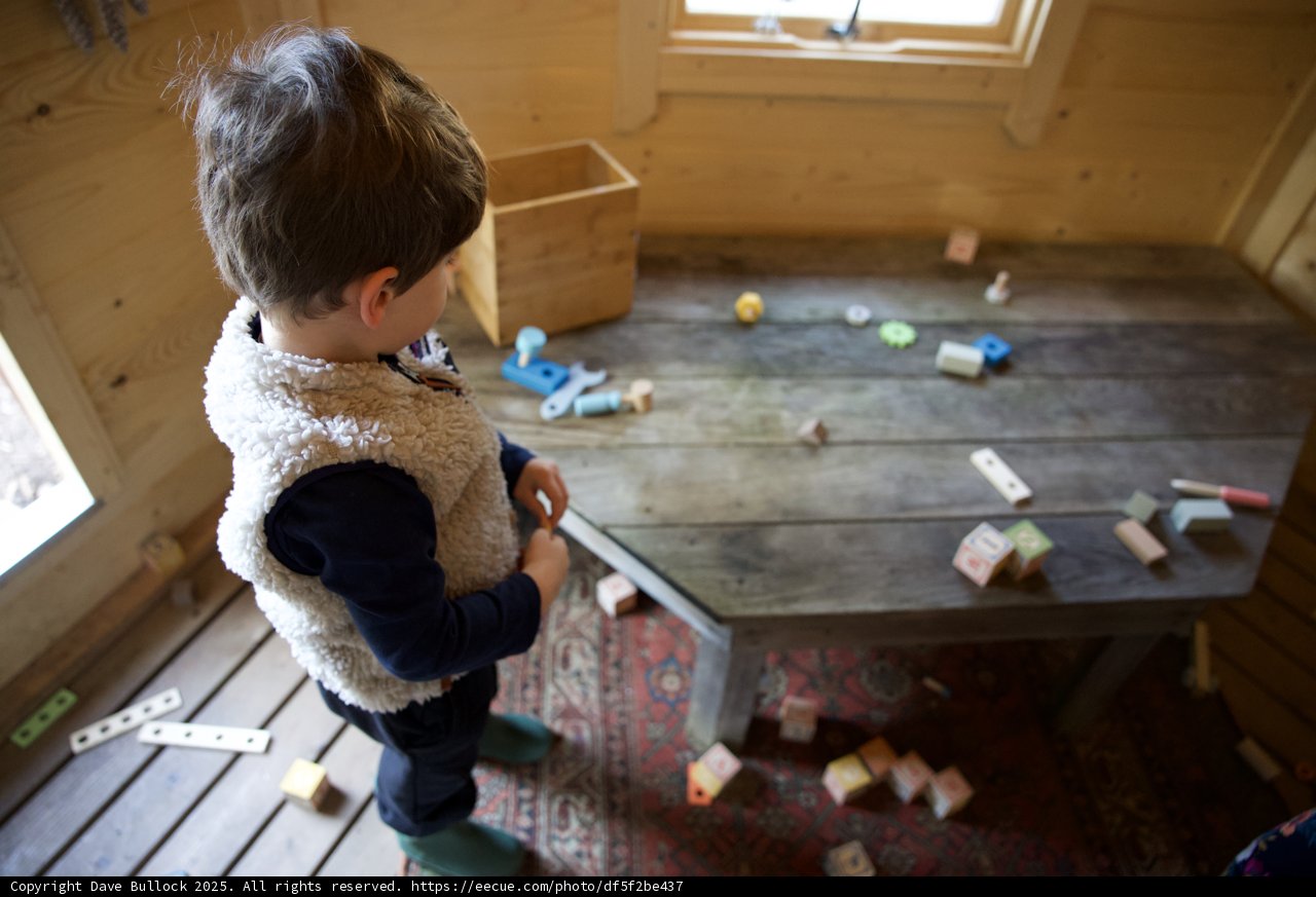Quiet Curiosity in Thistlewyck