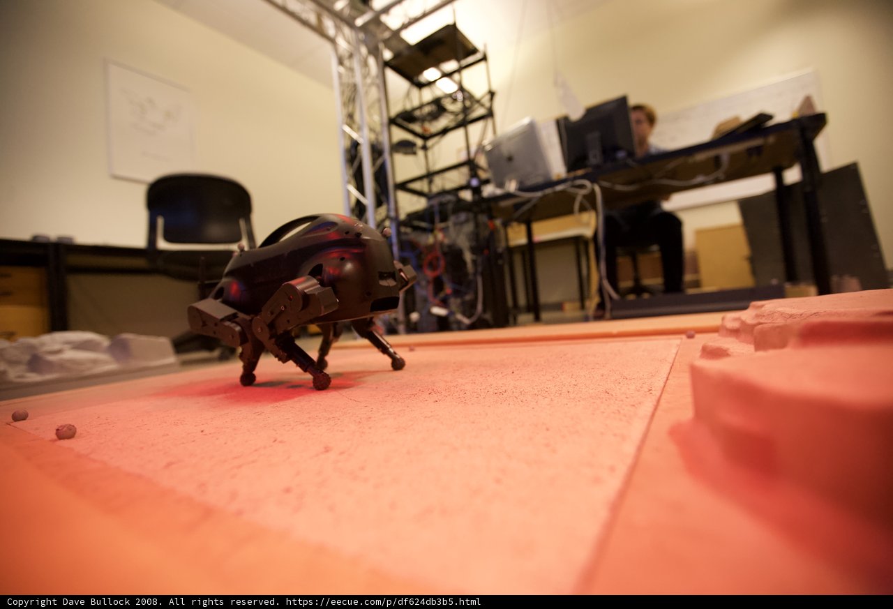 Walking on the Red Surface